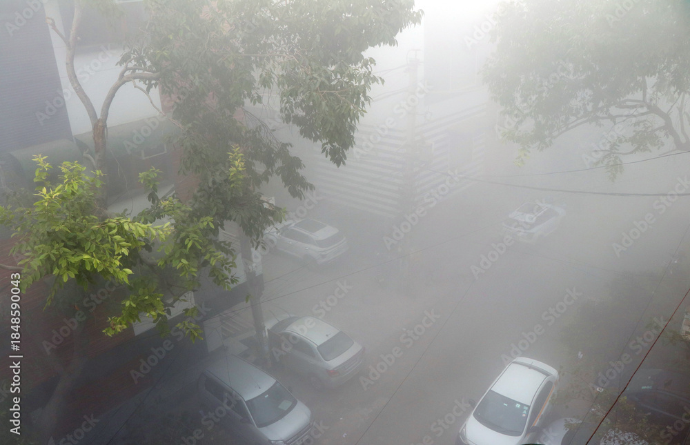 Naklejka premium fog in the city