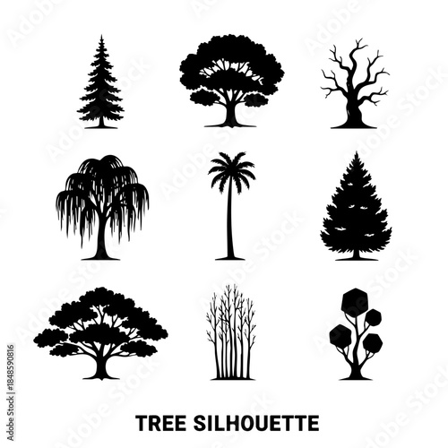 A collection of tree silhouettes, including a palm tree, a willow tree, and a pine tree