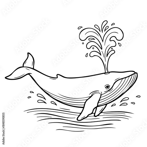 A whale is swimming in the ocean with a spray of water coming out of its blowhole. The whale is surrounded by water and he is enjoying the cool spray