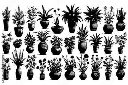 A row of potted plants in various sizes and shapes. The plants are all black and white, giving the image a monochromatic feel. The arrangement of the plants creates a sense of depth and dimension