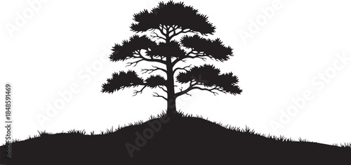 Black Silhouette Tree on Hill