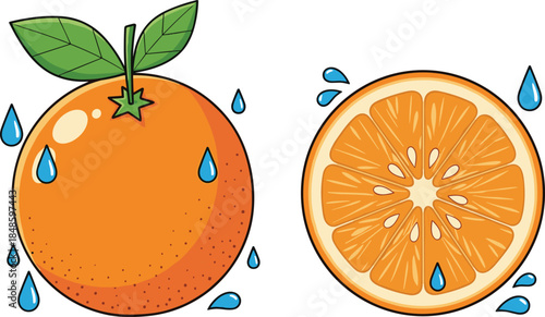 Whole and sliced orange with green leaves, water droplets, juicy fruit freshness concept, isolated on white background, flat vector illustration