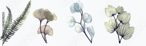 Watercolor tropical leaves stickers. Set of exotic leaves. Hand drawn floral stickers. fern leaves.