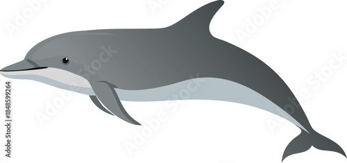 Illustration of a gray dolphin swimming gracefully in a blue ocean environment
