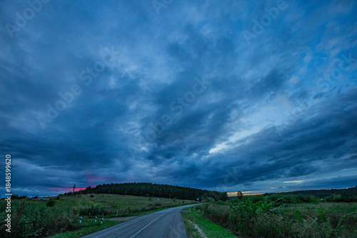 dark clouds over a pine forest