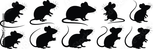 Rat silhouette collection showing mouse rodent poses black vector icons isolated on white background for pest control design illustration