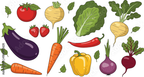 Fresh vegetable vector set featuring tomato, eggplant, carrot, pepper, beetroot, onion, chili, radish, and leafy greens for healthy food designs