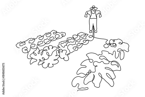 A single, continuous line depicts a vegetable garden and a scarecrow. Single line art design Editable stroke.