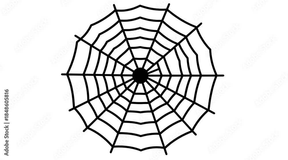 Obraz premium Intricate Spider Web with Delicate Threads