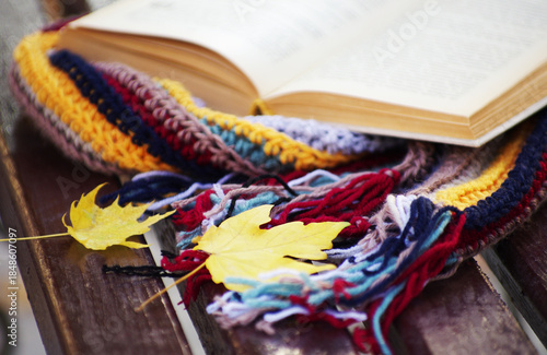 Book and scarf on wooden bench in autumn park.