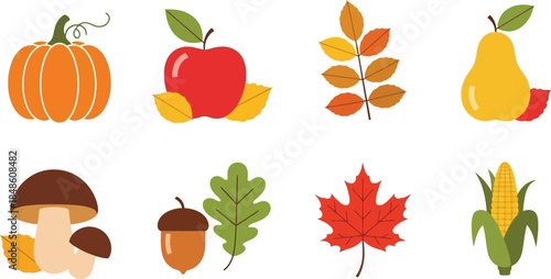 Autumn harvest collection featuring pumpkins apples pears and other fall produce