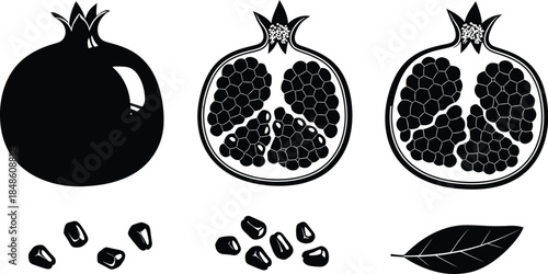 Pomegranate illustration showing a whole fruit a cross section and its seeds