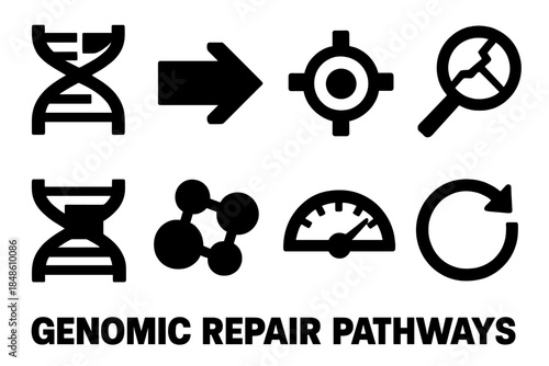Genomic Repair Icons. Genomic Repair Pathways silhouette set: base excision slot, strand synthesis arrow, repair checkpoint node, damage-sensing lens, nucleotide replacement bar,