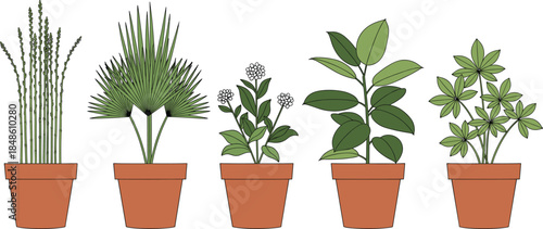 Potted indoor plant vector set featuring various houseplants in terracotta pots, minimalist botanical illustration for home decor, gardening, and interior design