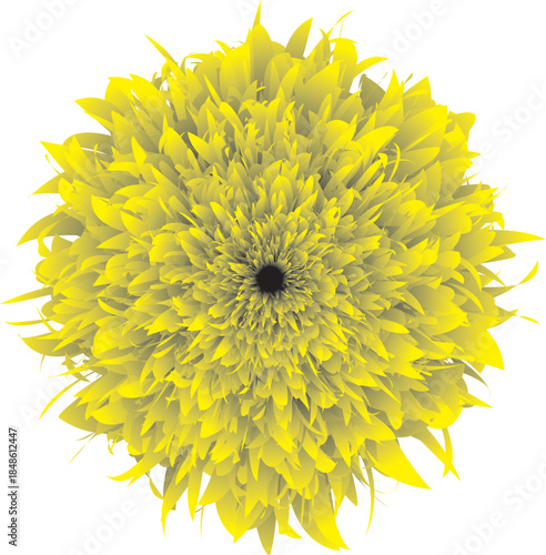 MEZBAH05-11-2025 - Copy