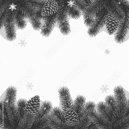 Monochromatic winter border with pine branches and snowflakes