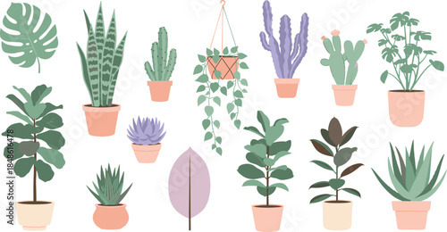 Collection of indoor potted plants