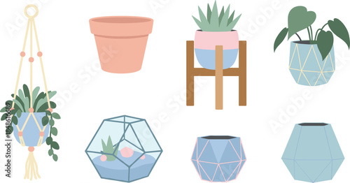Collection of various plant pots