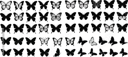 Collection of diverse butterfly illustrations