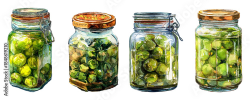 Watercolor set of capers. Glass jars with lids and pickled capers. Ingredients of Italian cuisine. Sour and salty capers for cooking. Vector illustration.