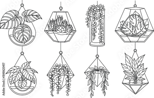 Set of minimalist line art hanging terrariums with monstera leaves and succulent plants for home decor and branding