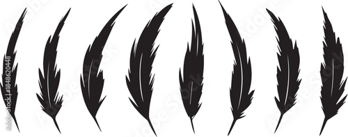 A collection of sharp black abstract feather like brush stroke artistic elements