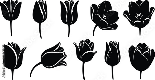 Elegant black silhouettes of tulip flowers in various stages of bloom