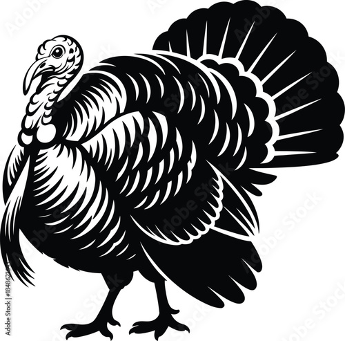 Wild turkey standing profile silhouette