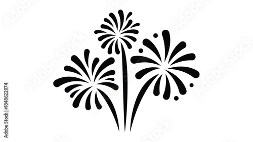 Celebratory fireworks display with radiating bursts a striking black silhouette