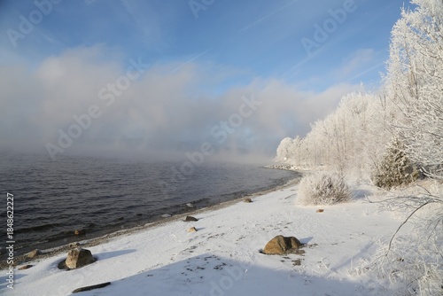 Frosty Trees Line a Snowy Shore on a Clear Winter Day in Lac-Megantic, Quebec, Canada