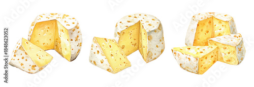 Dairy product collection featuring cheddar blocks, Swiss cheese slices, and camembert wedges. Doodle-style food icons perfect for Italian cuisine posters and recipe designs.