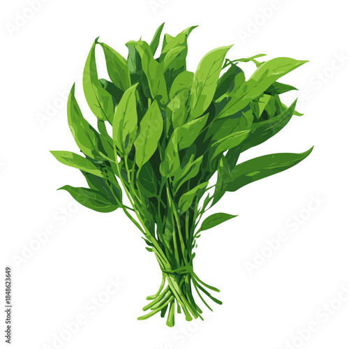 Wallpaper Mural Water Spinach Kangkong, presented as a modern flat 2D vector icon graphic on a white background Torontodigital.ca