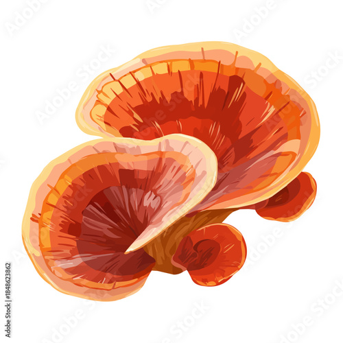 Minimalist 2D vector icon representation of a Reishi Mushroom, displayed on a pure white background