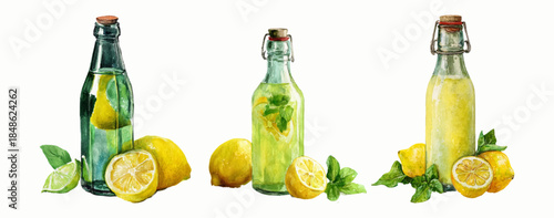 Italian limoncello set with watercolor lemon bottles and citrus fruits. Mediterranean alcohol beverage design. Vintage Amalfi Coast aesthetic with botanical leaves and yellow accents.