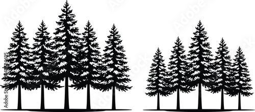 Winter forest silhouette, pine trees in snow, dense woodland contrast, nature background, seasonal landscape, evergreen woods, tranquil outdoor scene