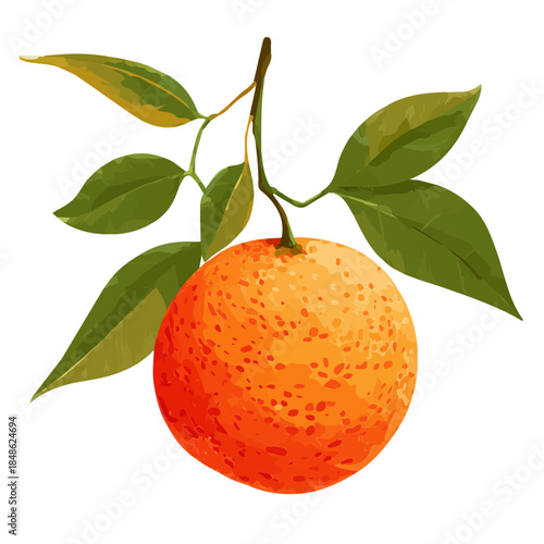 Simple flat 2D vector graphic of a Tangerine in modern icon style, isolated on a white canvas