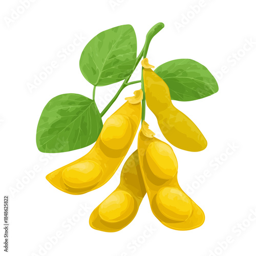Flat-design 2D vector artwork of a Soybean, styled as an icon and isolated against white background