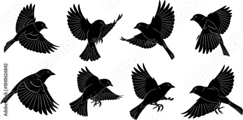 Flying bird silhouette vector set featuring birds in different wing positions and motion poses isolated on white background for wildlife, nature, and graphic design