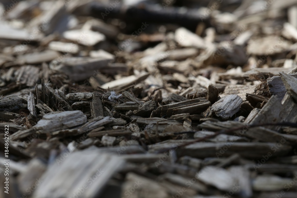 Fototapeta premium Close Up View of Wood Chips on Ground