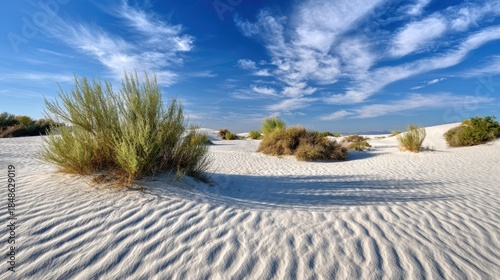 Fototapeta Naklejka Na Ścianę i Meble -  White Sand Dunes Under Blue Sky with Sparse Green Desert Shrubbery and Textured Sand Ripples.