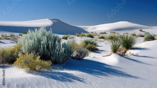 Fototapeta Naklejka Na Ścianę i Meble -  White Sand Dunes Under Blue Sky with Sparse Green Desert Shrubbery and Textured Sand Ripples.