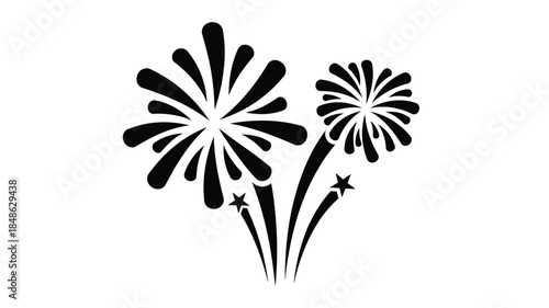 Black fireworks exploding in the night sky a striking silhouette