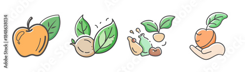 Illustrations depicting the cycle of nature, sustainable living, and ecological care