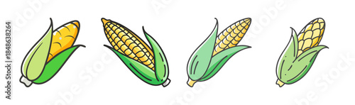 Vibrant illustration of four sweet corn cobs with green husks and golden kernels