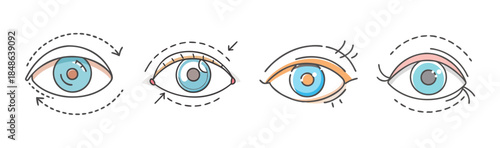 Understanding various eye shapes and cosmetic eyelid correction procedures