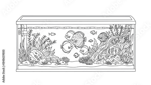Aquarium line art with discus fish and underwater plants