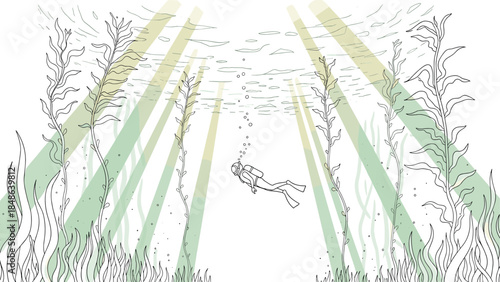 Underwater explorer in sunlit kelp forest