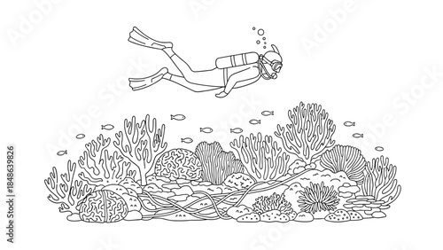 Diver exploring coral reef in detailed line art illustration