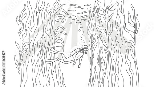 Diver exploring underwater kelp forest in detailed linear style