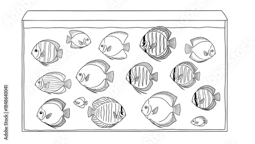 Hand-drawn collection of aquarium fish in a tank with diverse patterns